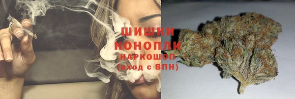 сатива Семилуки