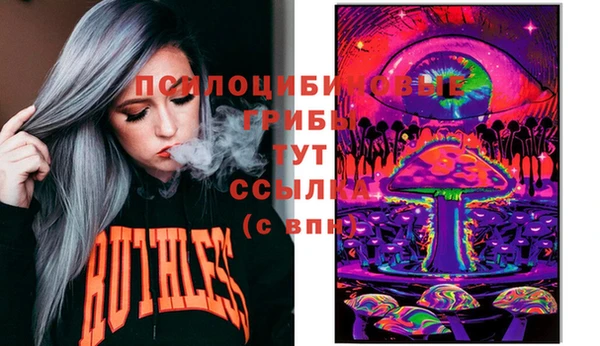 сатива Семилуки