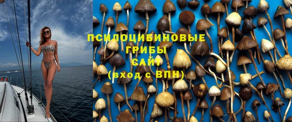 сатива Семилуки