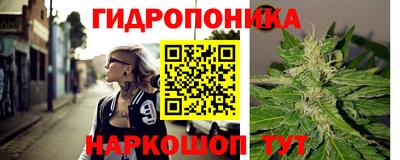 спиды Заводоуковск