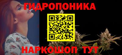 прущие грибы Абакан