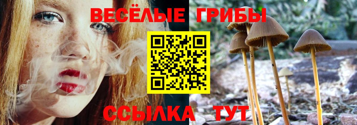 Галлюциногенные грибы Magic Shrooms  Сибай 