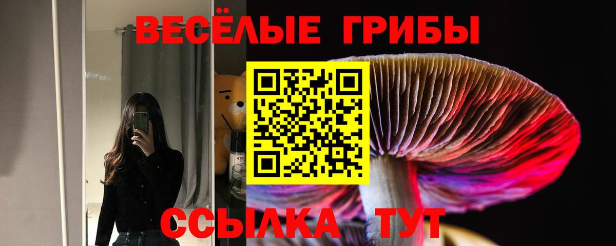 Псилоцибиновые грибы мицелий  купить наркотики цена  Сибай  Вход с VPN 