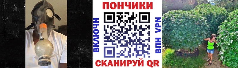 Марихуана семена  Сибай 